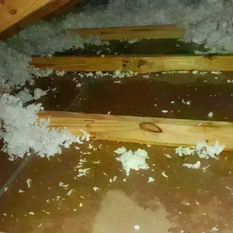 Attic Water Damage in Warren, AR