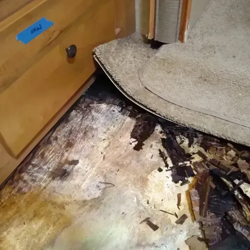 Wood Floor Water Damage in Warren, AR